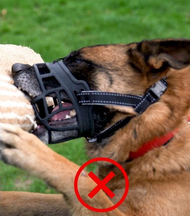 Best dog muzzle for 2024 biting