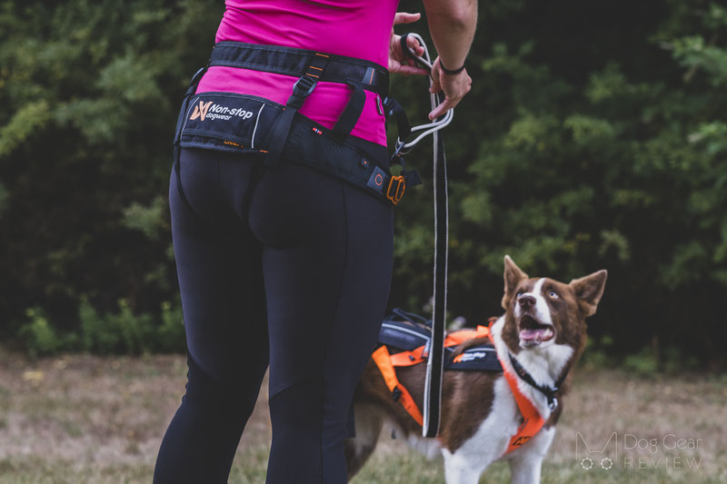Canicross Belt Comparison | Dog Gear Review