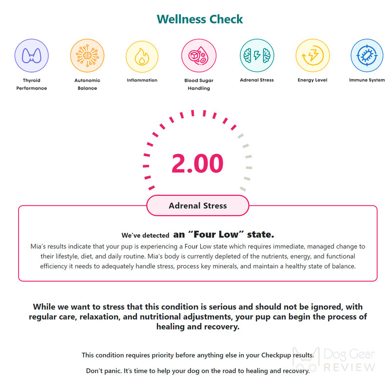 Checkpup Dog Wellness Test - What Did It Tell Us? | Dog Gear Review