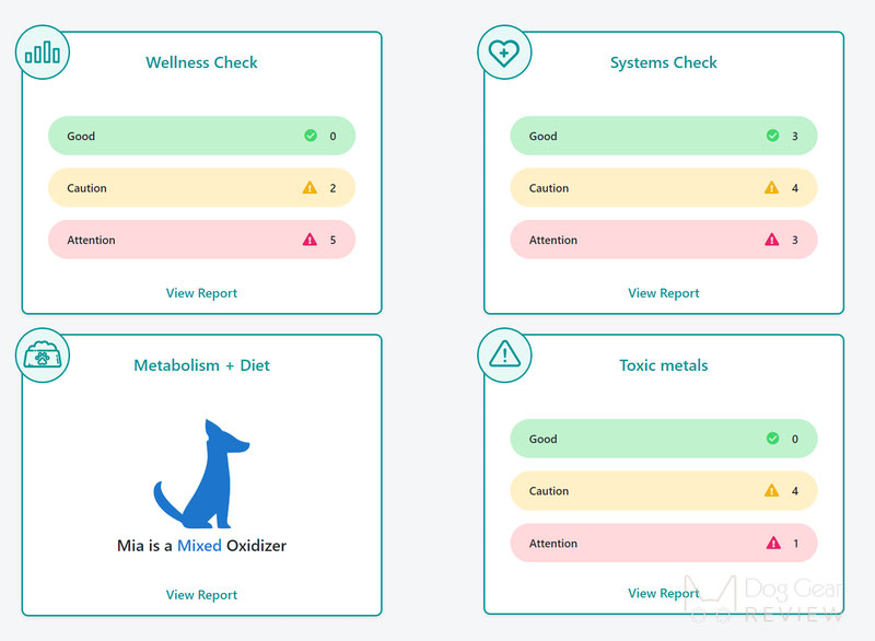 Checkpup Dog Wellness Test - What Did It Tell Us? | Dog Gear Review