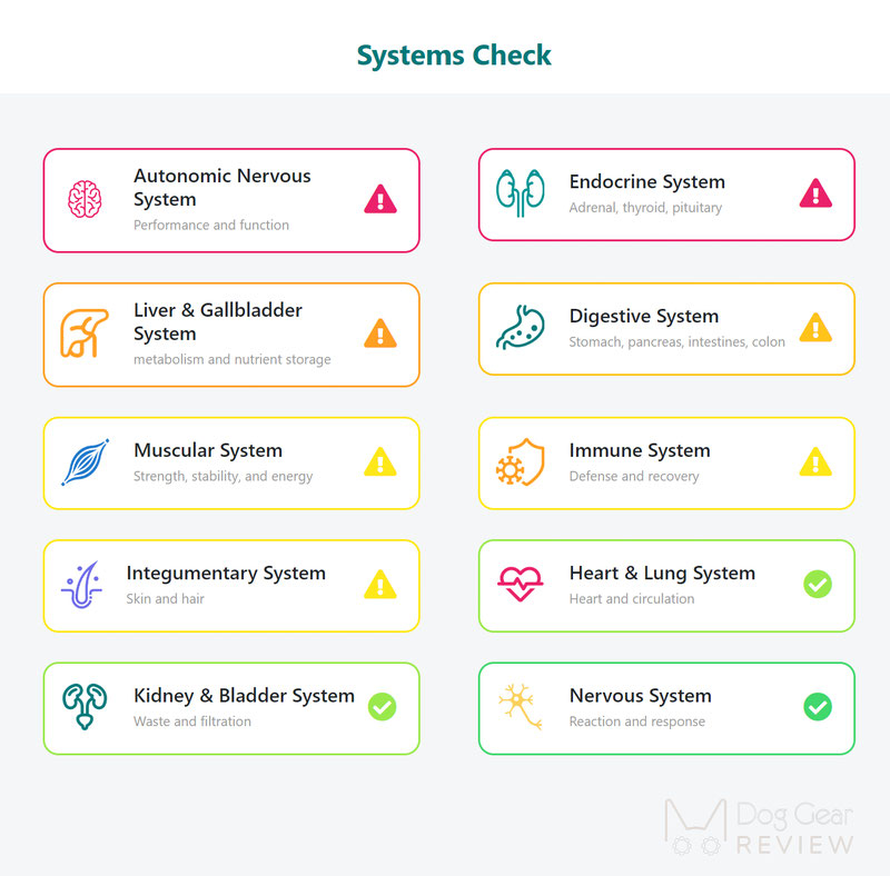 Checkpup Dog Wellness Test - What Did It Tell Us? | Dog Gear Review