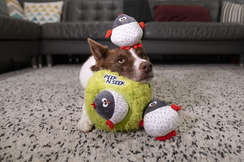 The Best Dog Toys for Christmas 2022 | Dog Gear Review