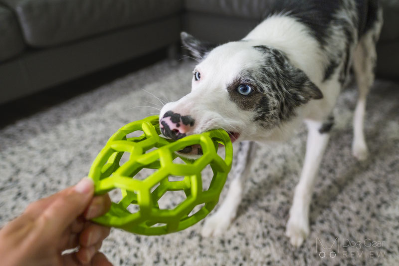 The Best Dog Toys for Christmas 2022 | Dog Gear Review