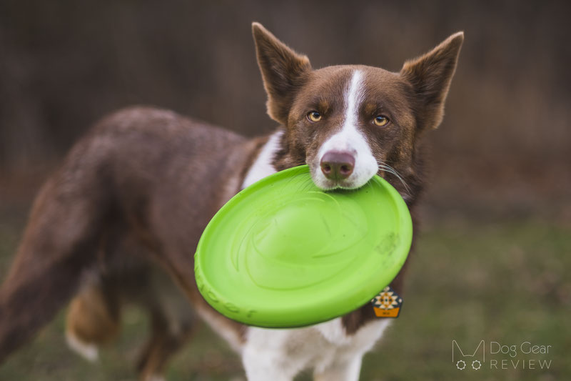 Cabela's Canvas Duck Dog Toy