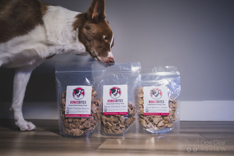 The 5 Best Christmas Gifts for Food-Motivated Dogs in 2022 | Dog Gear Review