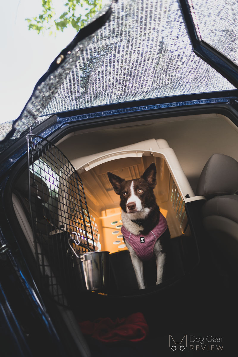 How to keep clearance dog cool in crate