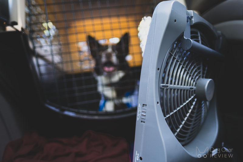 Dog cooling outlet fan