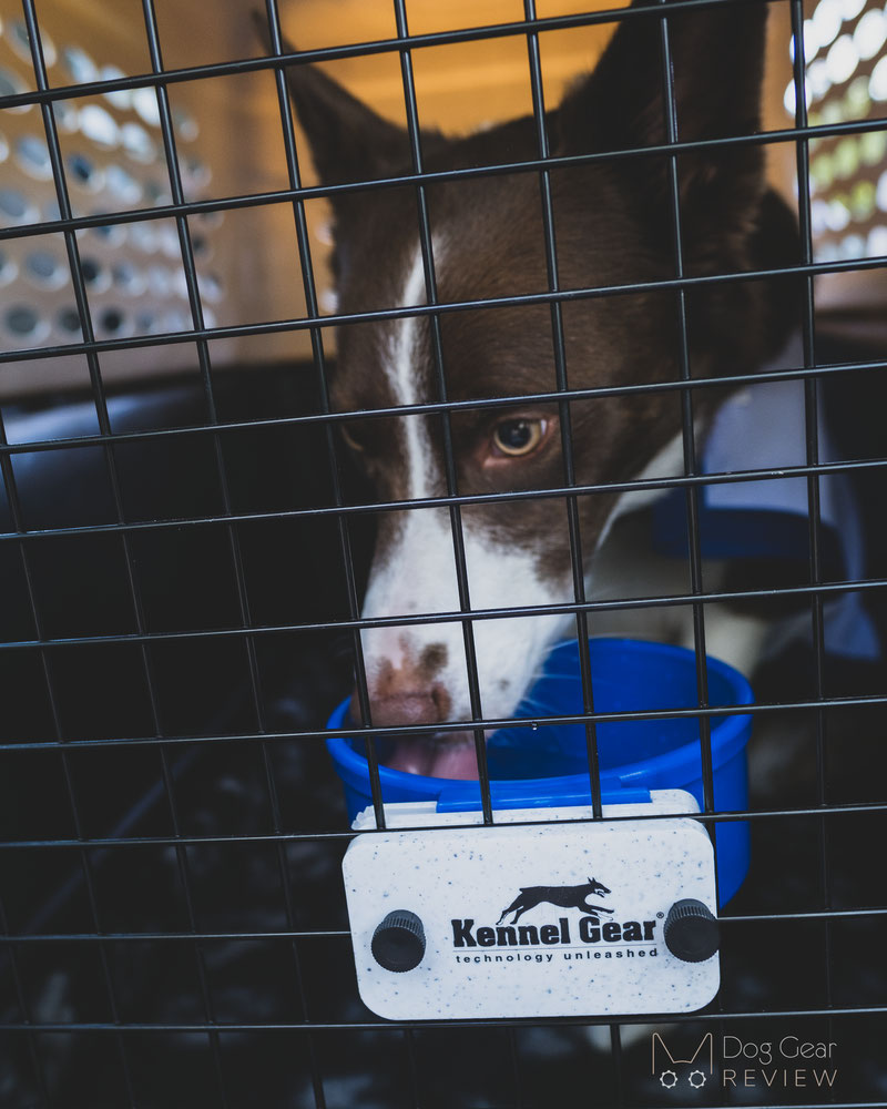 How to keep a dog cool in a kennel best sale