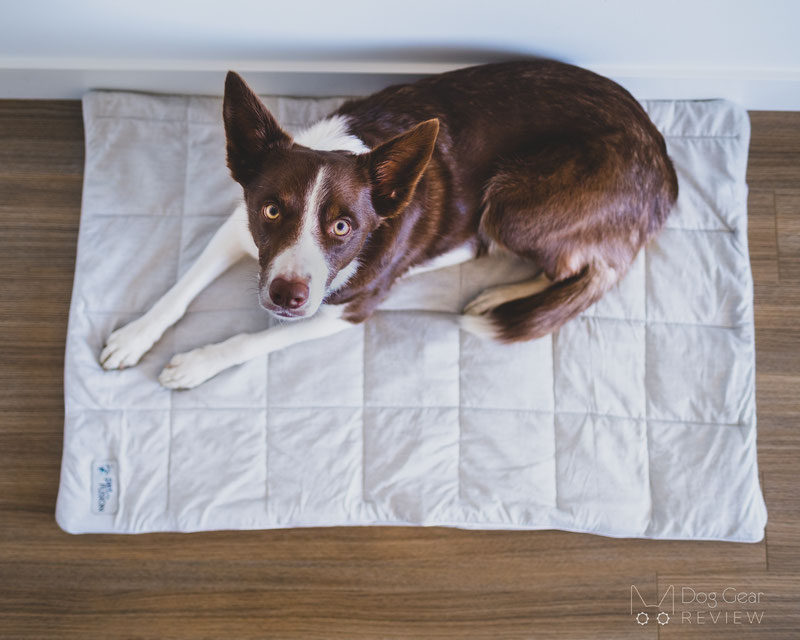 Cool Pet Pad Self-Cooling Gel Mats - Clean Run