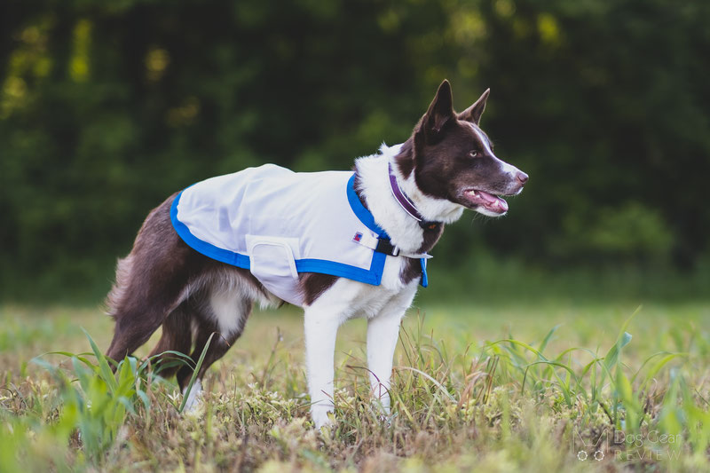 Dog cooling hot sale coat