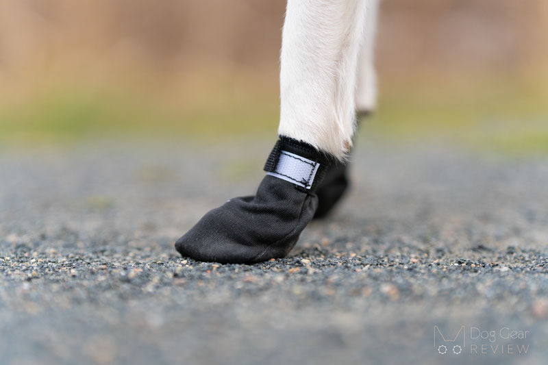 Dog Boots Falling Off? Tips for a secure fit | Dog Gear Review