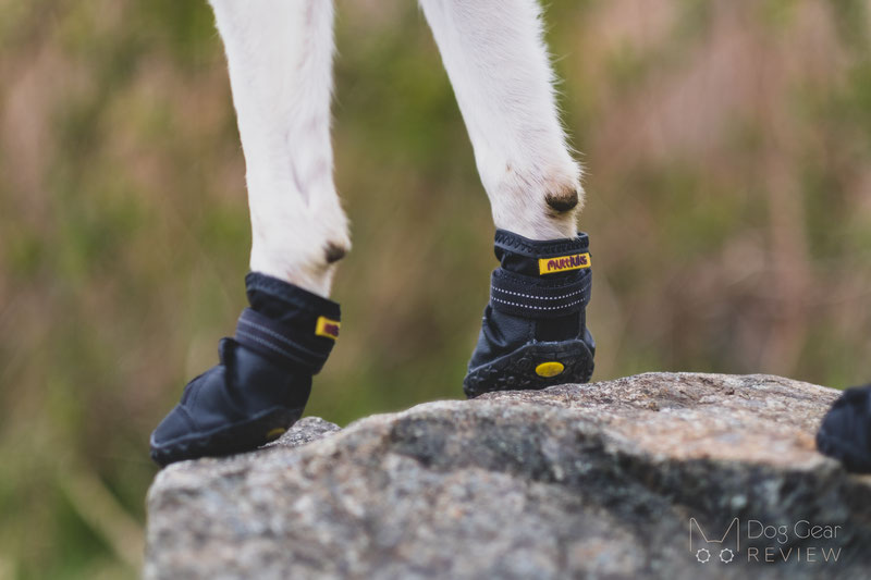 Dog Boots Falling Off? Tips for a secure fit | Dog Gear Review