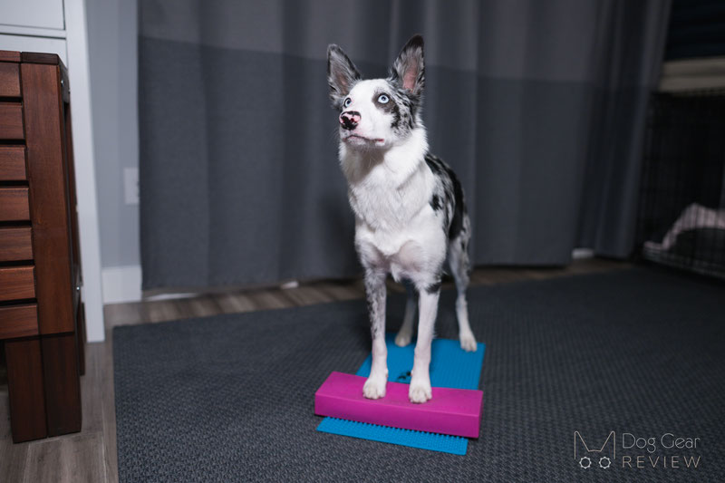 Cato Board - Dog Training Platform (White, Turf Surface)