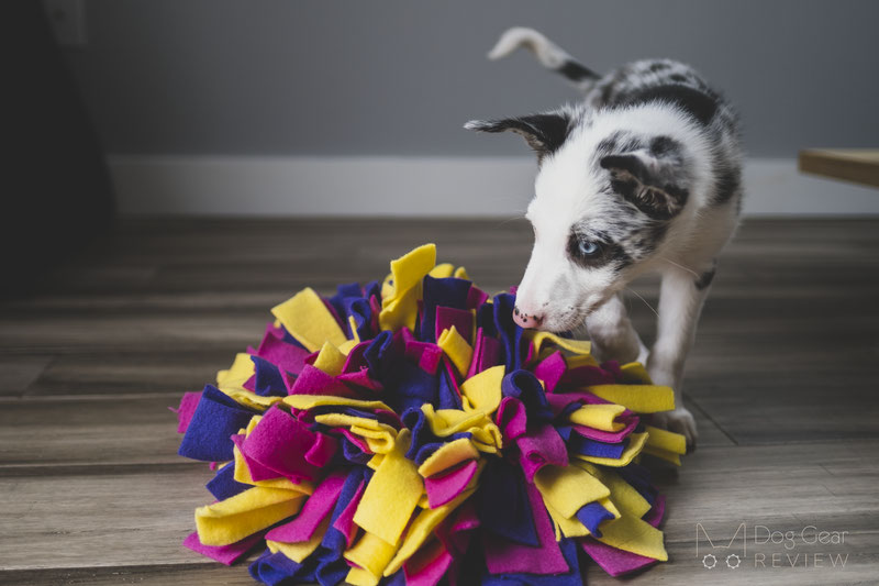 Snuffle Treat & Feeding Puzzle Toy - NEW!!!