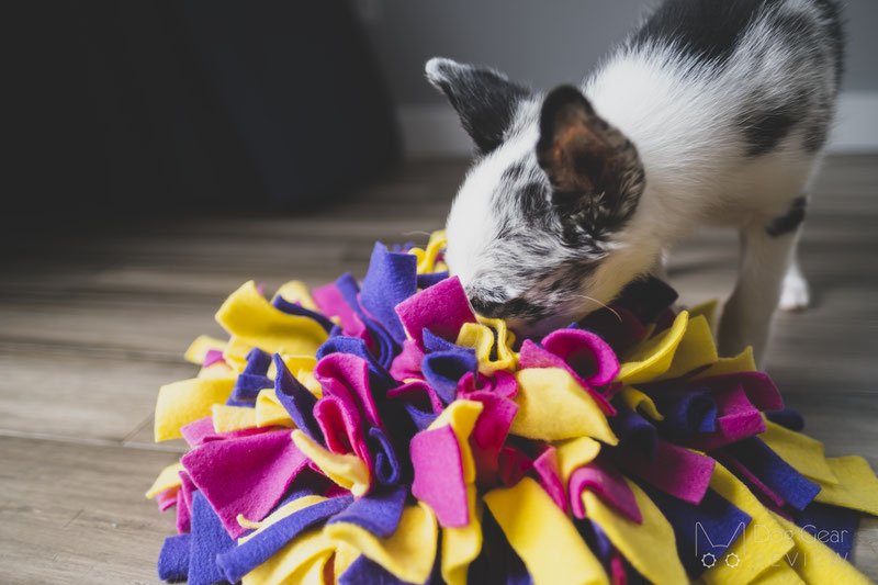 Snuffle Mat - A Dog Trainer's Review