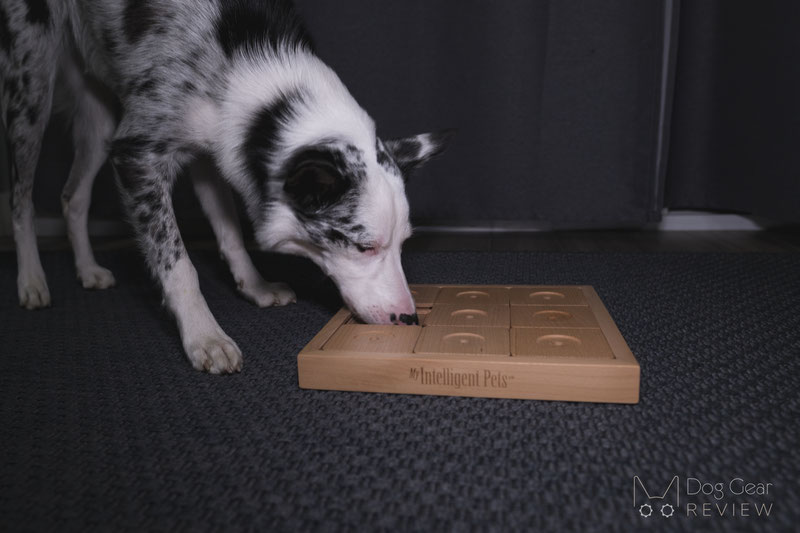 A Guide to Using Food Puzzle Toys with Your Dog - AVSAB