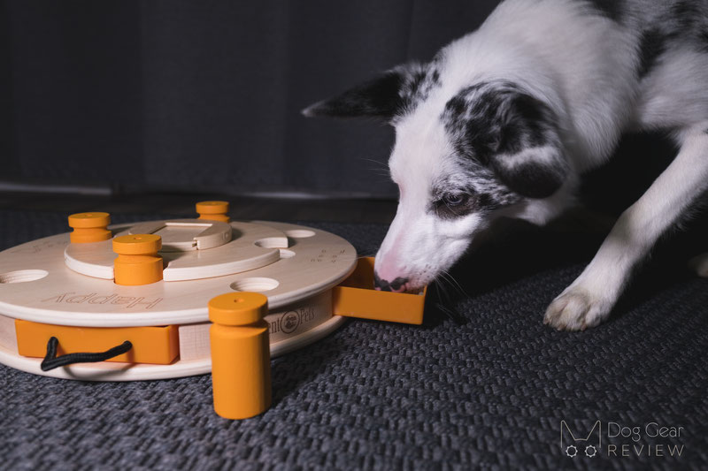 A Guide to Using Food Puzzle Toys with Your Dog