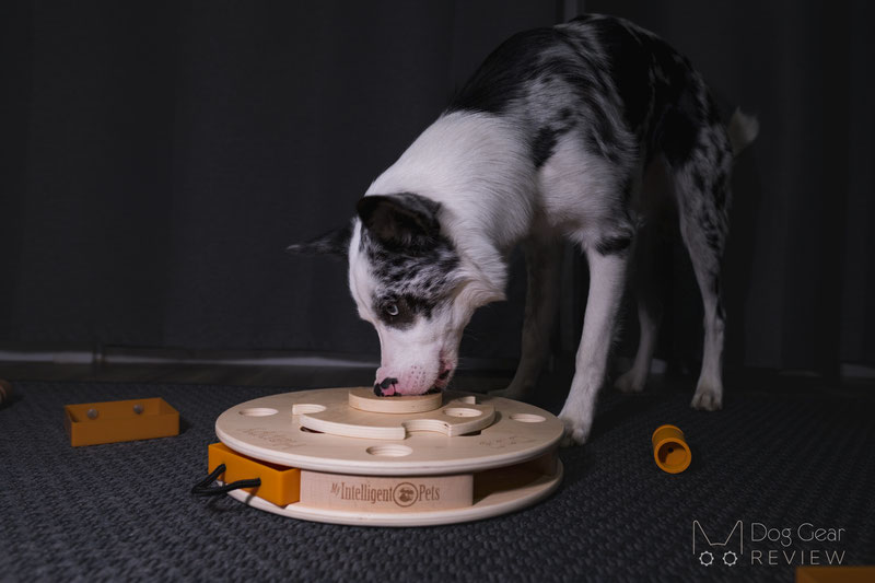 Dog Food Puzzle Toys from Beginner to Expert Level | Dog Gear Review