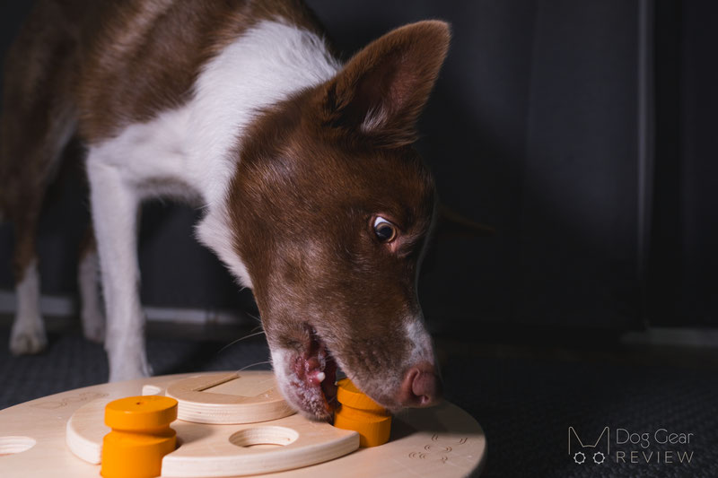 A Guide to Using Food Puzzle Toys with Your Dog