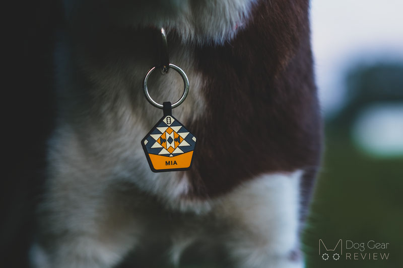 Five Unique Dog ID Tag Options | Dog Gear Review