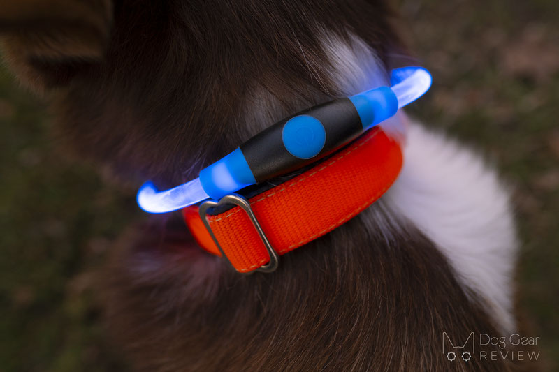 Dog Visibility Guide - Lights, LED Collars, Reflective Vests and more | Dog Gear Review