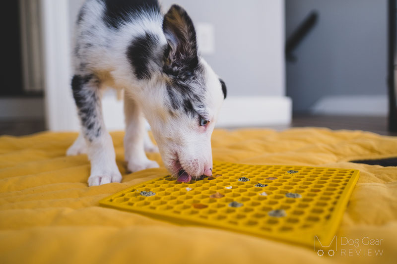 Small Snuffle Mat Canine Enrichment Feeder - Clean Run