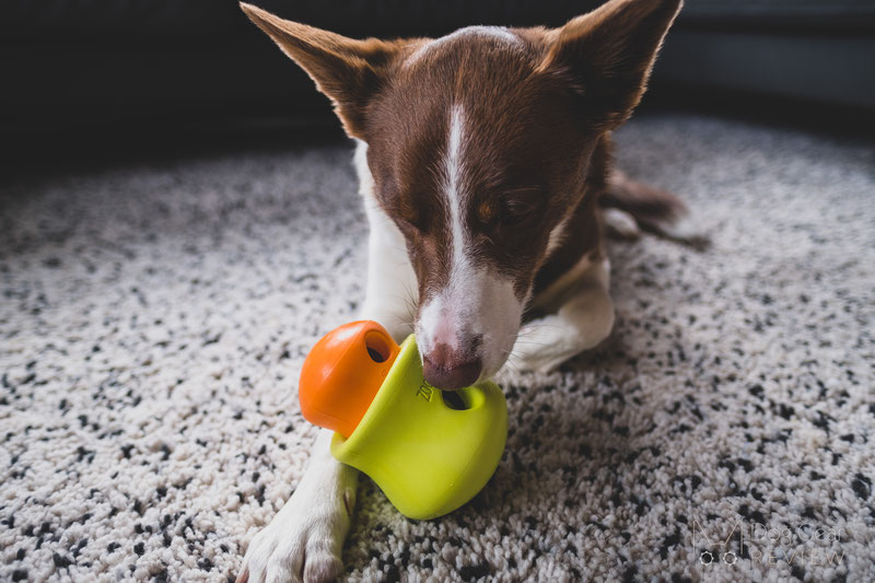 Enrichment toys that my dog can..tear apart? : r/dogs