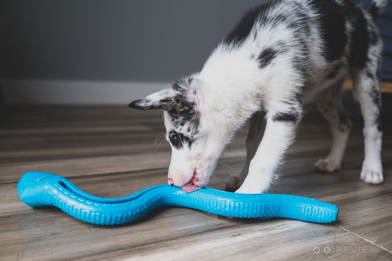 The Best Dog Feeding Toys — Enrichment 101 - Bings Best Things