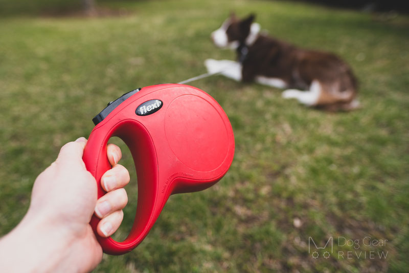 Longest dog on sale leash retractable