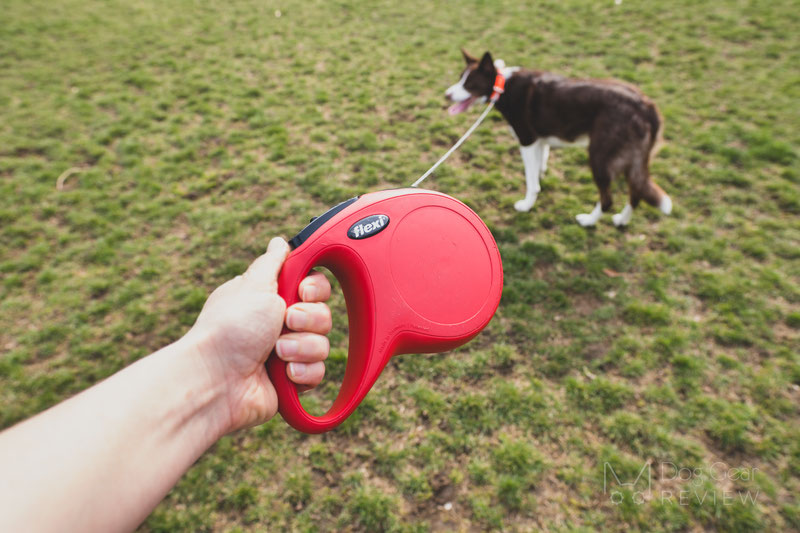 Extra long retractable leash best sale