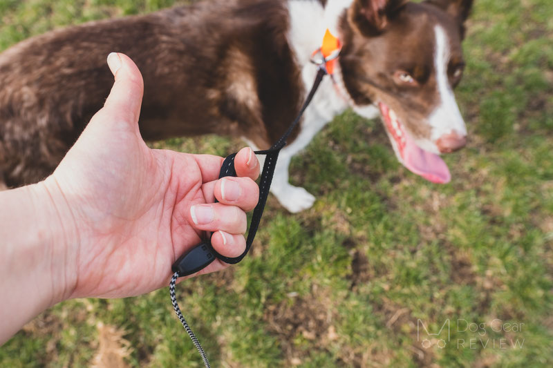 Best extending outlet dog lead