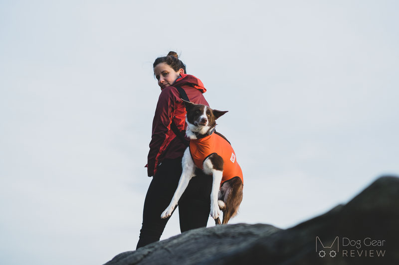 The Best Christmas Presents for Dogs in 2021 | Dog Gear Review