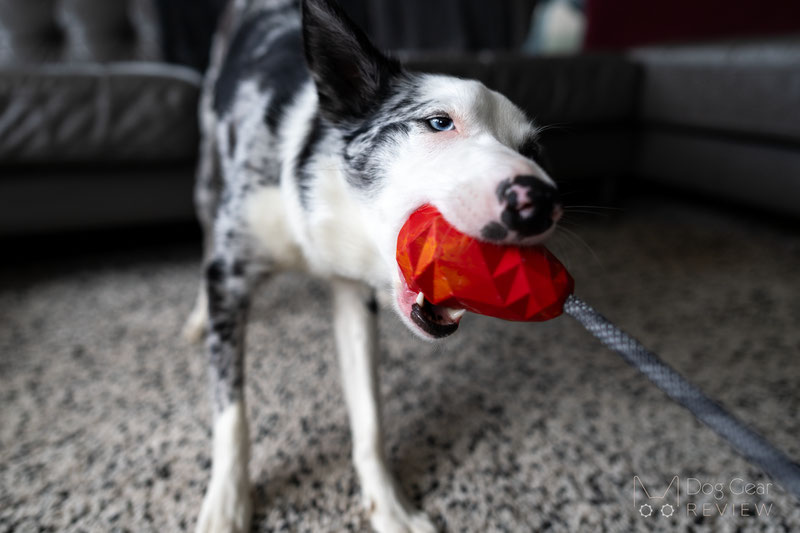 12 Dog Toys to Build Engagement through Playing | Dog Gear Review