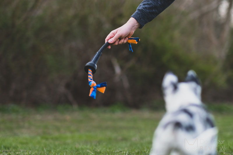 10 Dog Toys to Build Engagement through Playing | Dog Gear Review