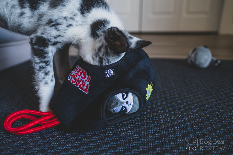 10 Dog Toys to Build Engagement through Playing | Dog Gear Review