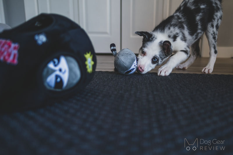 10 Dog Toys to Build Engagement through Playing