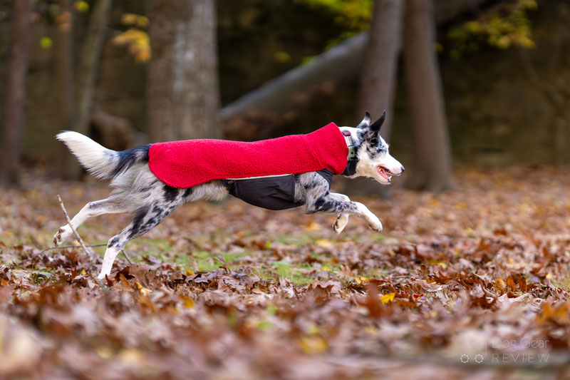 JumppaPomppa vs PolarPomppa - Pomppa Dog Coat Comparison | Dog Gear Review