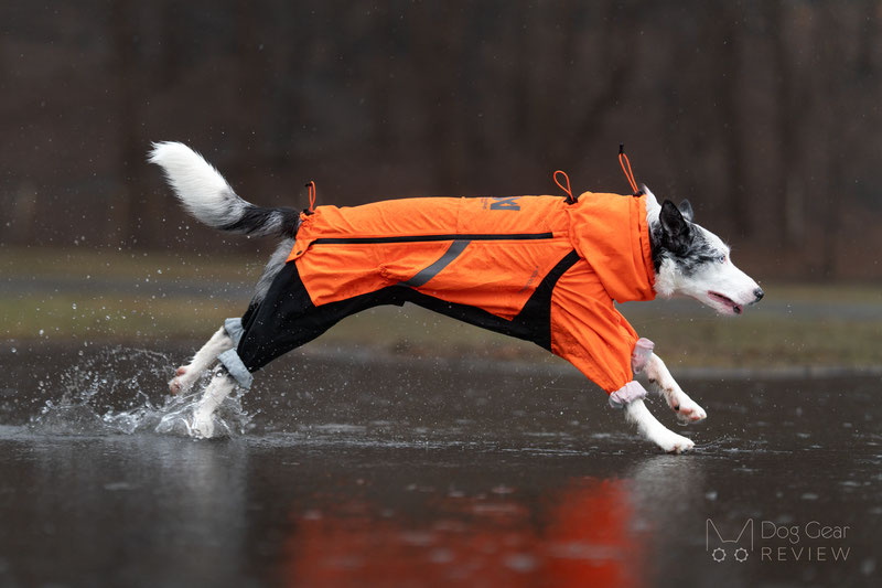 Comparing the Mudventure Overall and the Fjord Overall | Dog Gear Review