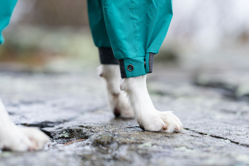 Comparing the Mudventure Overall and the Fjord Overall | Dog Gear Review