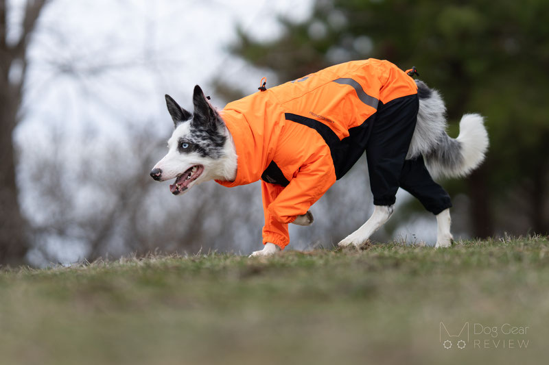 Comparing the Mudventure Overall and the Fjord Overall | Dog Gear Review