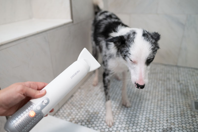 Neakasa F1 Pet Hair Dryer Review | Dog Gear Review