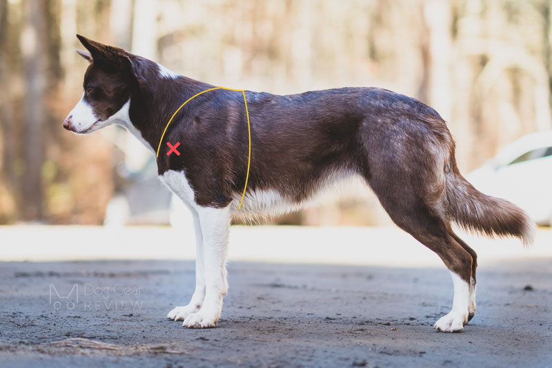 New fit clearance harness