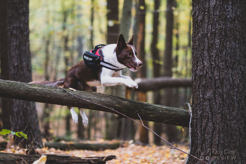 Is it true that harnesses going across the dog's shoulders restricting the movement? | Dog Gear Review