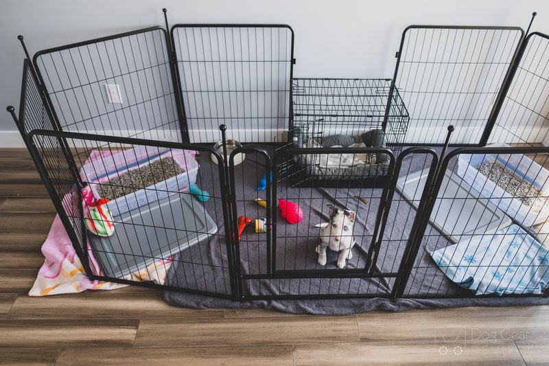 Second hand 2024 puppy playpen