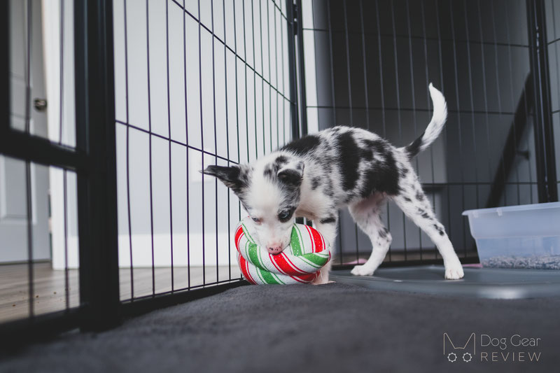 How to Set Up a Puppy Playpen | Dog Gear Review