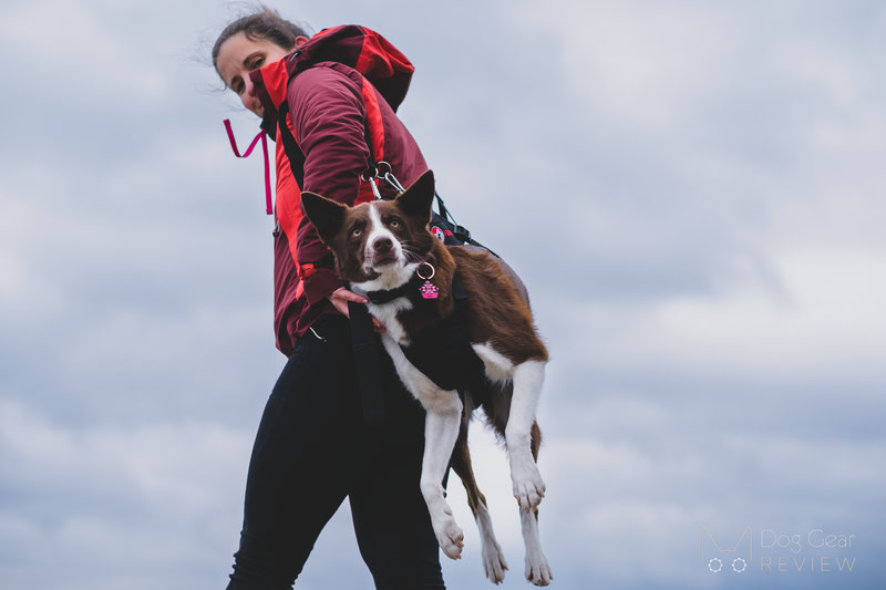 Emergency dog 2025 carry harness