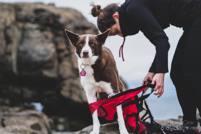 Emergency Dog Rescue Harnesses Comparison | Dog Gear Review