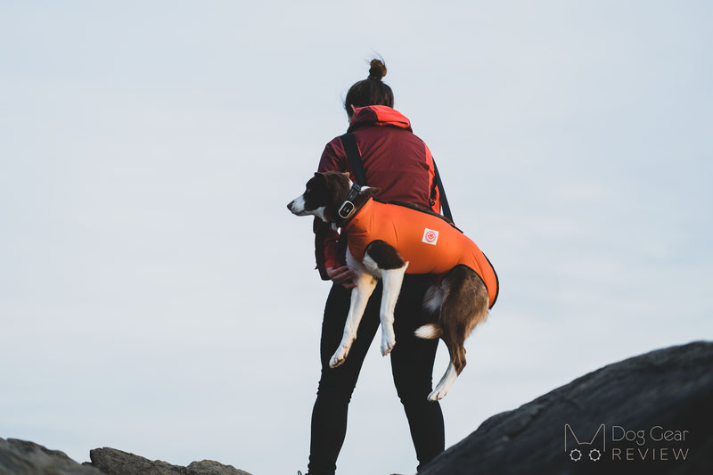 Dog carrying 2024 harness hiking