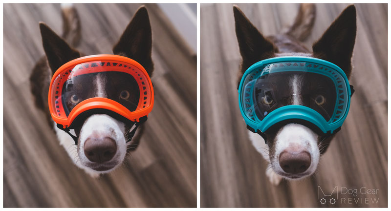 What is the difference between the V1 and V2 Rexspecs Goggles? | Dog Gear Review