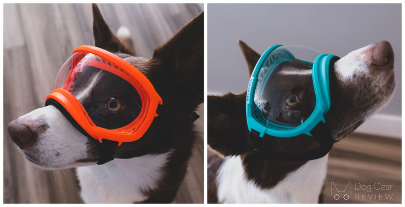 What is the difference between the V1 and V2 Rexspecs Goggles? | Dog Gear Review